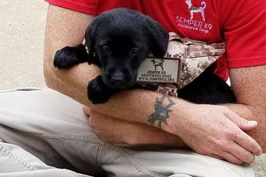 Christopher Baity and a black labrador puppy in training