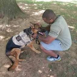 a veteran and his service dog
