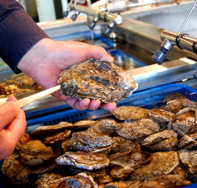 Taylor Shellfish Farms A Seattle, WA Restaurant.