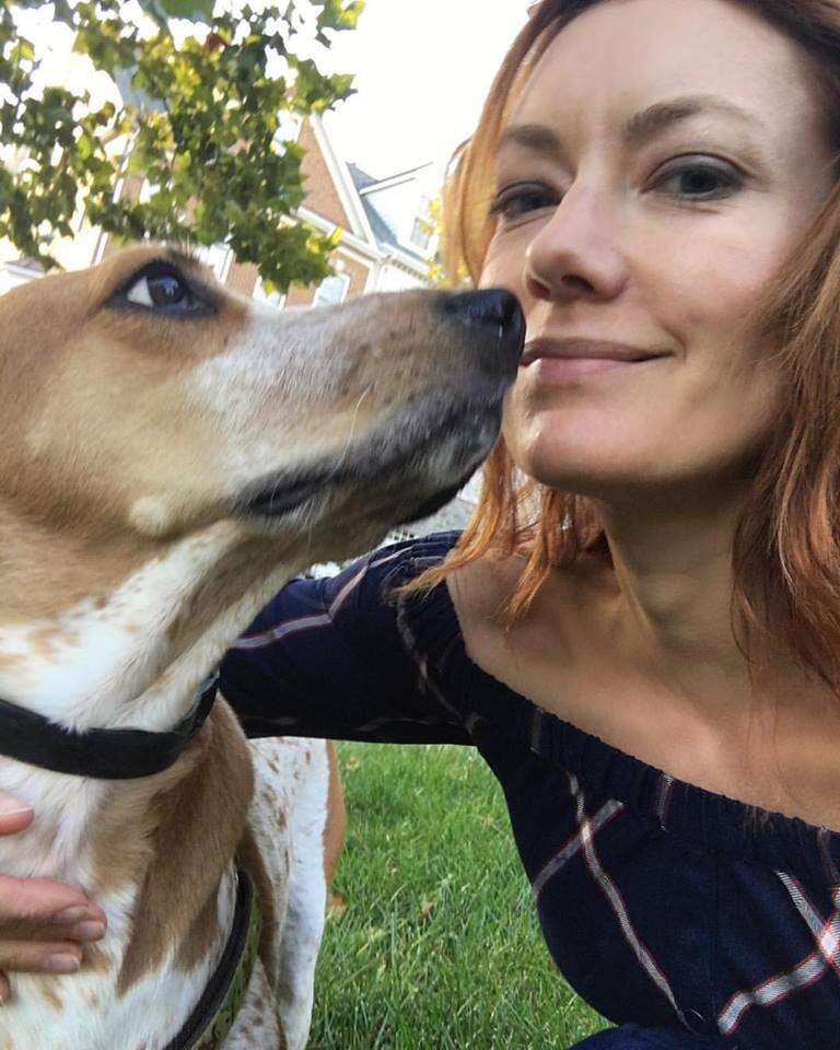 coonhound violet lab dog rescue