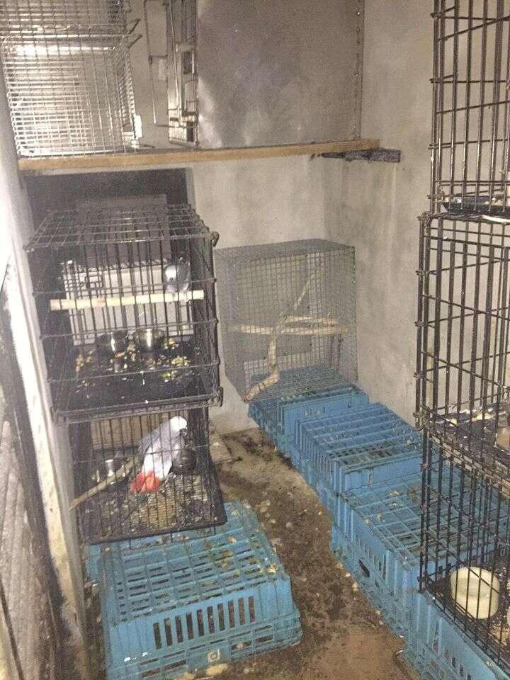 bird cages zoo Florida