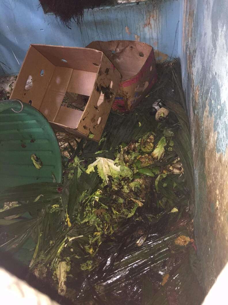 garbage zoo florida