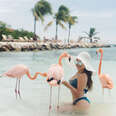 Hang With Flamingos on This Secluded Caribbean Island