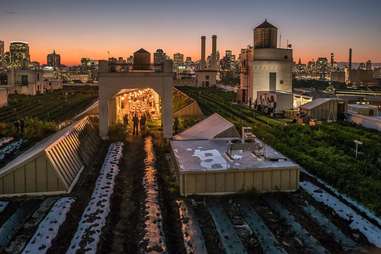 Brooklyn Grange