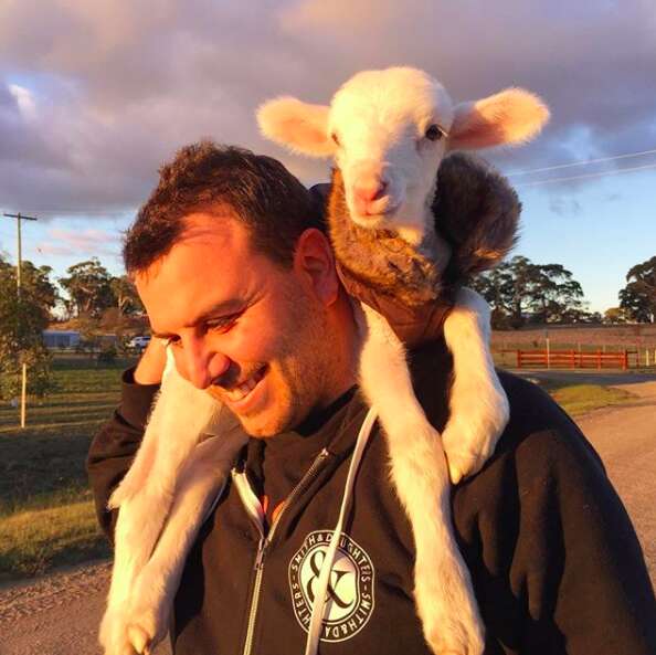 Man carrying rescued lamb on his shoulders