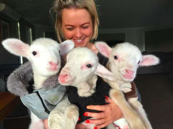 Woman holding three rescued lambs