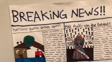 kids make newsletter for cat to read on the litterbox