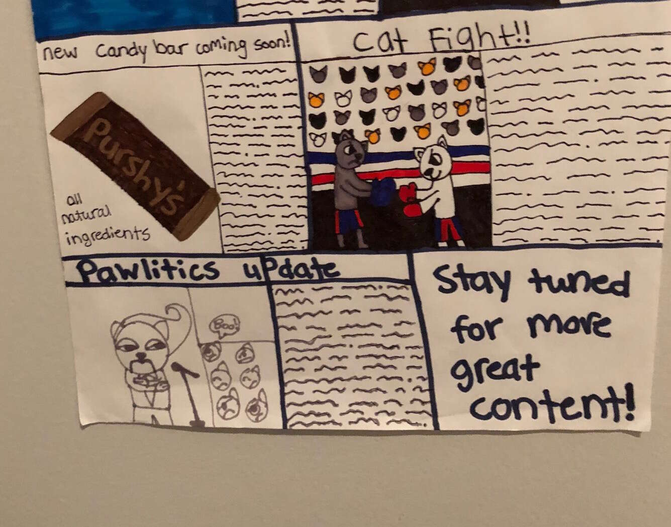kids make newsletter for cat to read on the litterbox