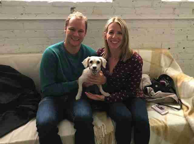 matted dog rescue Chicago Illinois