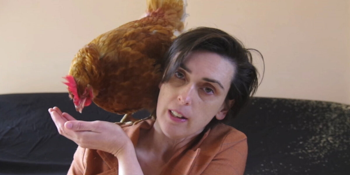 Rescued Chicken Is Obsessed With The Computer - Videos - The Dodo