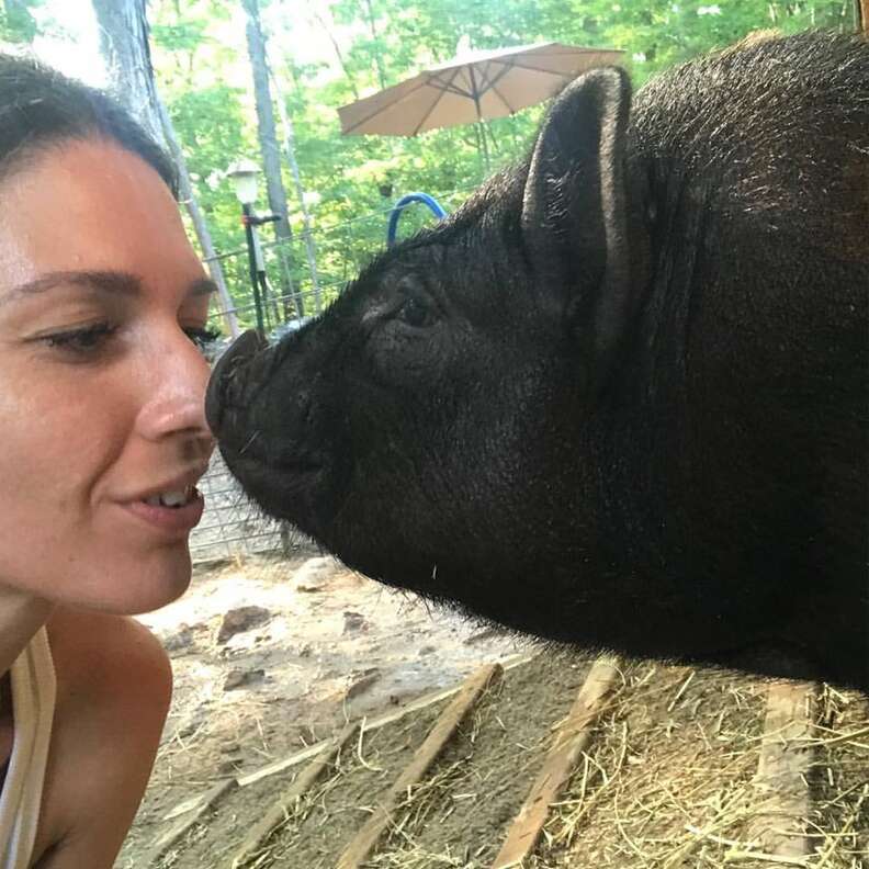 Woman touching noses with rescue pig