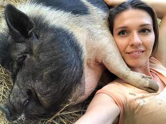 Woman snuggling with big potbellied pig