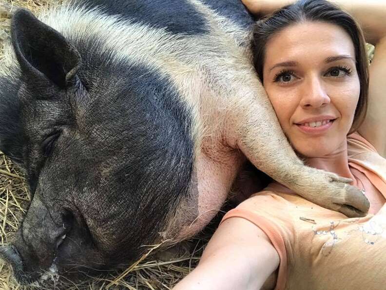 Woman snuggling with big potbellied pig. 