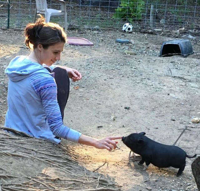 Woman touching the nose of a tiny rescue pig