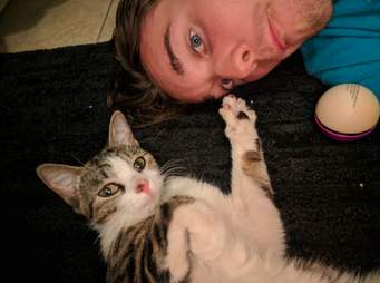 Stray Cat Follows Person Home And Convinces Them To Adopt Her