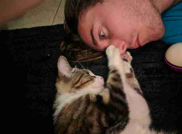 What To Do When A Stray Cat Follows You Home لم يسبق له مثيل الصور