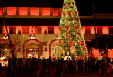 Everything You Must Do Over the Holidays on Oahu