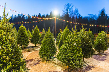 Oahu Honolulu Christmas Events 2017 Things To Do For The Holidays Thrillist