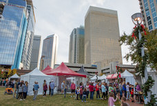 The Most Festive Things to Do in Charlotte This Holiday Season