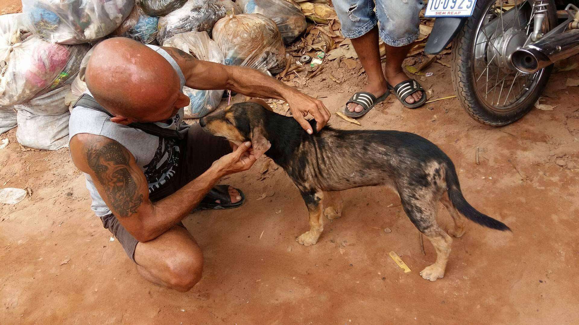 Man petting rescue dog in Cambodia