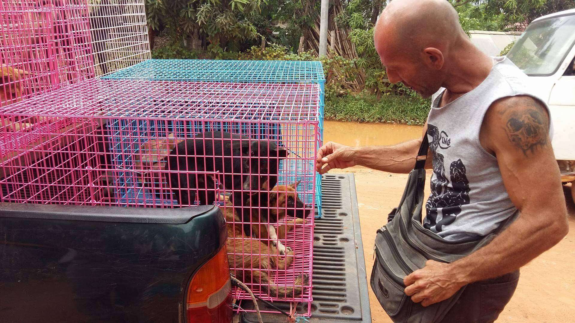 Man comforting rescued dogs in transport cages