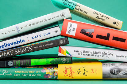 2017 book gift guide