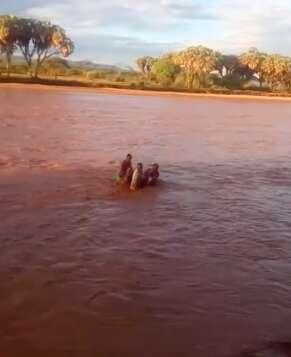 People saving baby elephant from flooding river