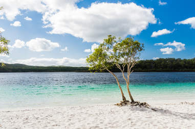 lake mckenzie