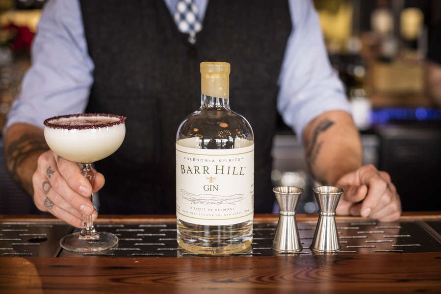 7 Best American Gins Made in the USA Thrillist