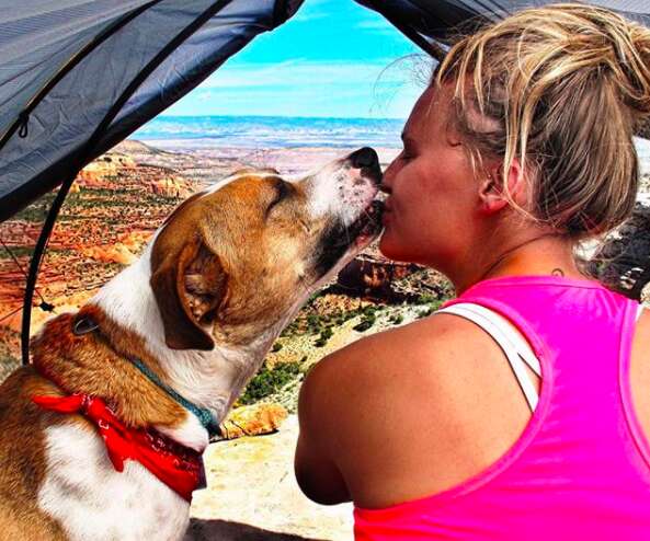 Dog kissing woman inside tent