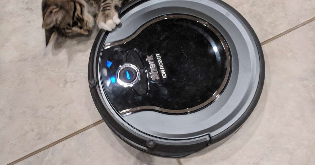 Rescue Kitten Loves Riding Around On Roomba In Hilarious Video - The Dodo