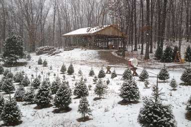 Emmerich Tree Farm- The Real Christmas Tree Experience