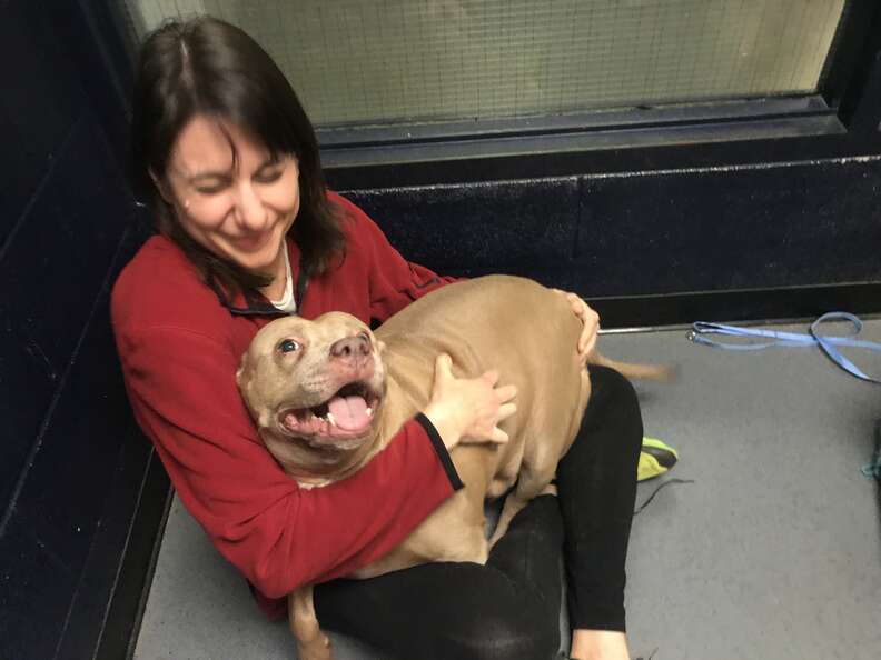 Woman hugging shelter dog inside kennel