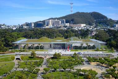 California Academy of Sciences