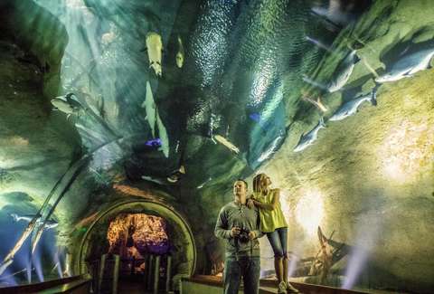 Live aquarium Live aquarium