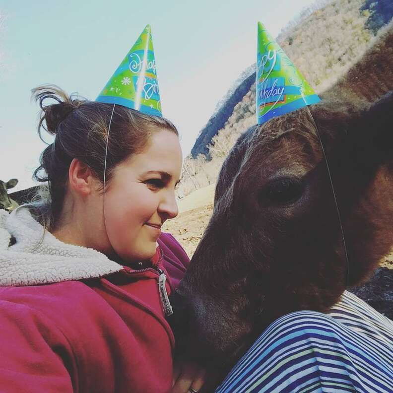 cow celebrates first birthday