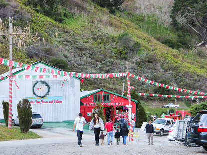 santa's tree farm and village