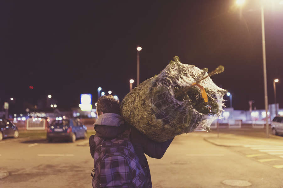 Christmas Tree Shortage 2017 Thrillist