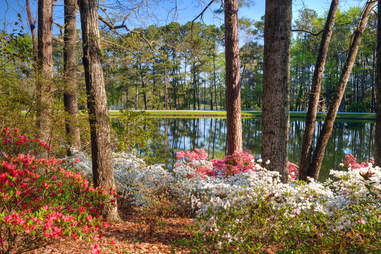 Best Road Trips From Atlanta Scenic Weekend Day Trips Near Atlanta Thrillist