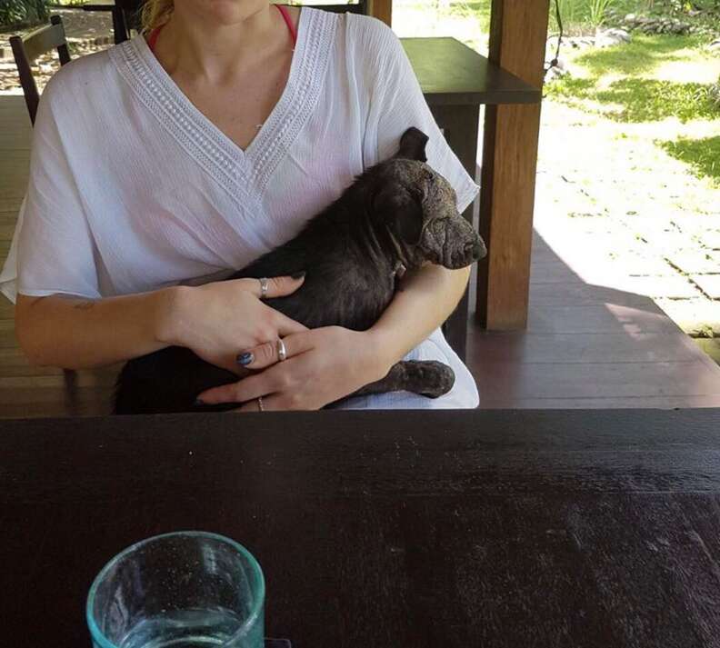 Woman holding sick Balinese dog at restaurant