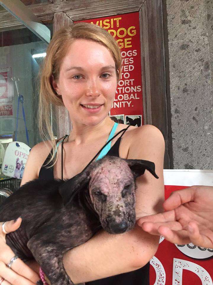 Woman holding sick Bali dog in her arms