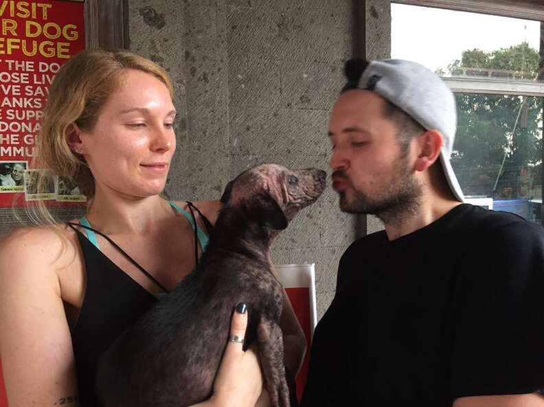 Rescued dog kissing one of her rescuers