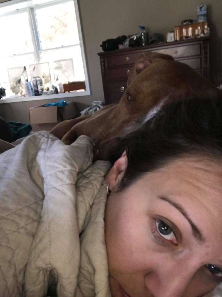 Woman and dog sleeping in bed together