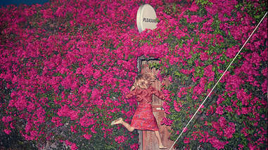 Pleasure Feist