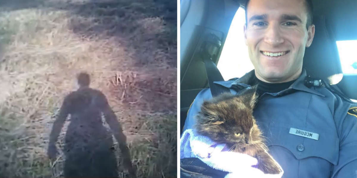 Virginia Cop Stops Everything To Rescue Terrified Kitten On Interstate ...