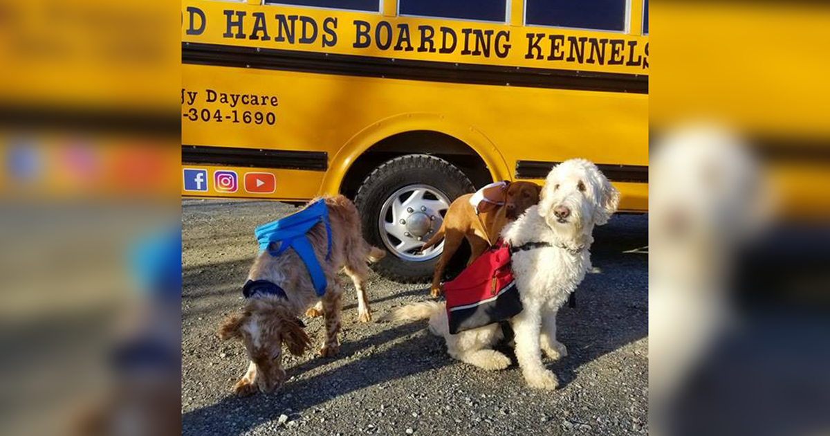 good hands boarding kennel
