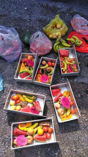 Fruit bought for bears during the journey to sanctuary