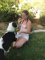 petey dog sign language
