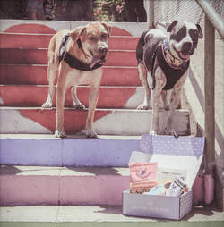 petey lucy heavenly creatures photo shoot
