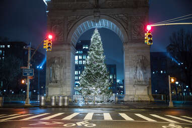 Washington Square Park Christmas Tree 